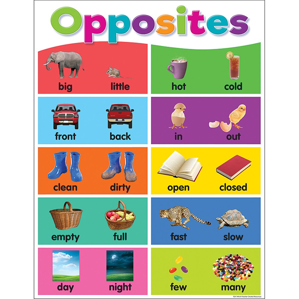 Colorful Opposites Chart - TCR7496 | Teacher Created Resources | Classroom Theme