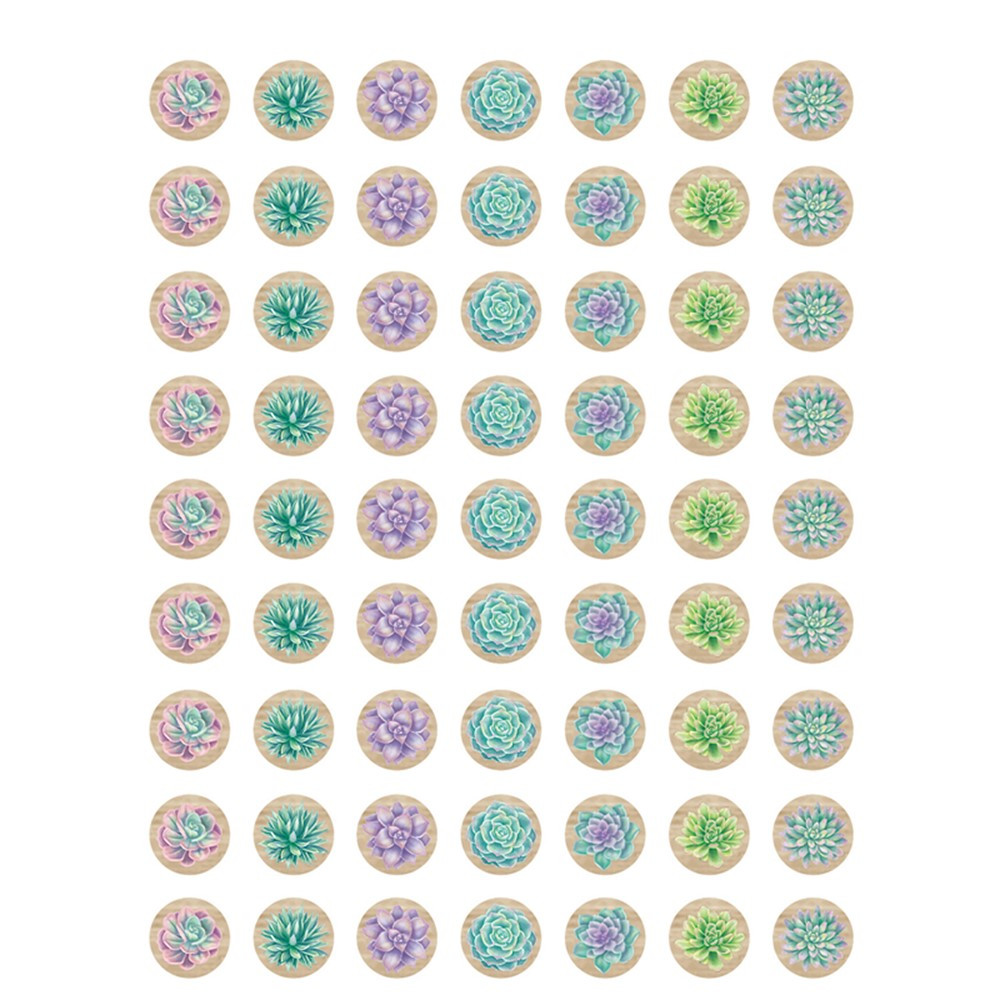 Rustic Bloom Succulents Mini Stickers, Pack of 378 - TCR8556 | Teacher Created Resources | Stickers