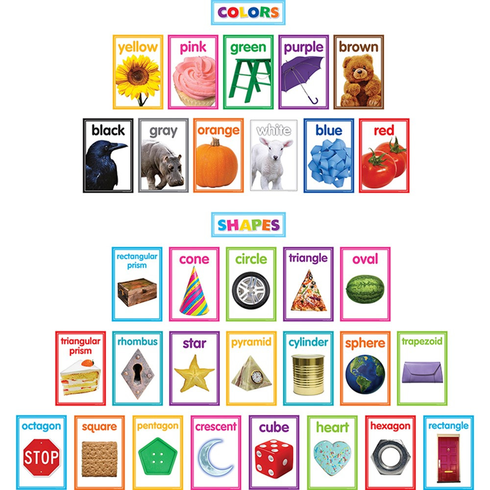 TCR8799 - Colorful Photo Shapes & Colrs Bb St in Classroom Theme
