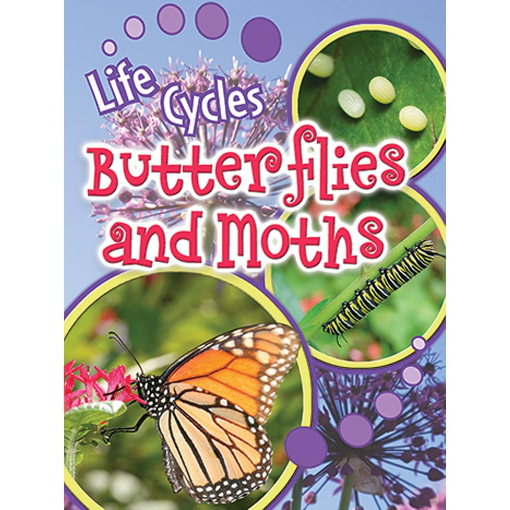 TCR905478 - Butterflies And Moths in Life Science
