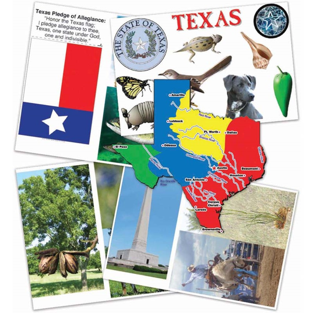 Texas Bulletin Board Set - TOP402 | Top Notch Teacher Products | Social Studies