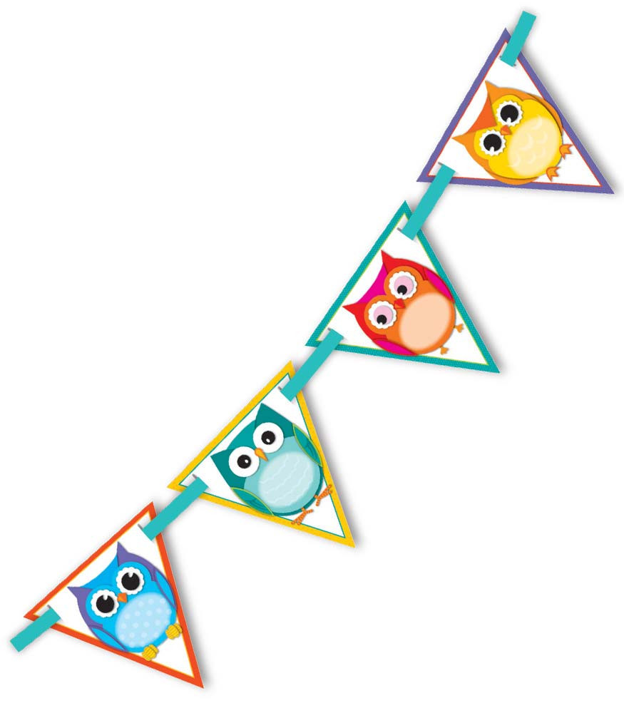 Colorful Owls Bunting