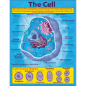 CD-414019 - The Cell Chartlet in Science