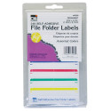 CHL45200 - File Folder Labels Assorted in Mailroom