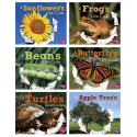 CPB9781515770978 - Explore Life Cycles St Of 6 Books in Science