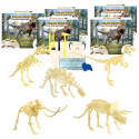 Paleo Hunter Dig Kit for STEAM Education - All Five Dinosaurs - HECPHKIT5 | Hamilton Electronics Vcom | Animal Studies