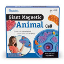 LER6039 - Magnetic Animal Cells in Animal Studies