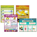 Chemistry Basics Teaching Poster Set - MC-P151 | Teacher Created Resources | Science