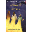MM-9780312367558 - A Wrinkle In Time in Classics