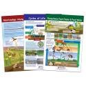 Ecology Bulletin Board Chart Set, Grades 3-5 - NP-947007 | New Path Learning | Science