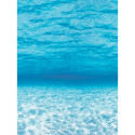 PAC56525 - Fadeless 48X50 Roll Under The Sea in Bulletin Board & Kraft Rolls