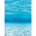 PAC56528 - Fadeless 48X12 Under The Sea 4Rls Per Carton in Bulletin Board & Kraft Rolls