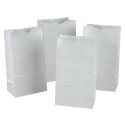 PAC72020 - Rainbow Bags 100 White 6X11 in Craft Bags