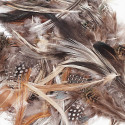 Natural Feathers, Natural Assorted Colors, Assorted Sizes, 1/2 oz. - PACAC4514 | Dixon Ticonderoga Co - Pacon | Feathers