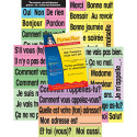PSZP145R - High-Freq Vocab Card Set French in Flash Cards