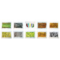 Wild Animals Rubbing Plates, Set of 10 - R-48240 | Roylco Inc. | Rubbing Plates