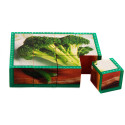 SLM402 - Vegetables Cube Puzzle in Health & Nutrition