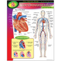 T-38090 - Chart Cardiovascular System in Science