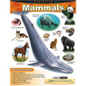 T-38185 - Chart Exploring Mammals Gr 1-5 in Science