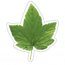 CD-120568 - Woodland Whimsy Green Leaf Cut-Outs in Accents