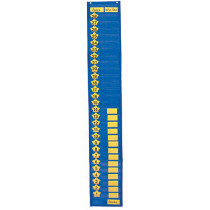 CD-5611 - Pocket Chart Two-Column Graphing 9 X 60 in Pocket Charts