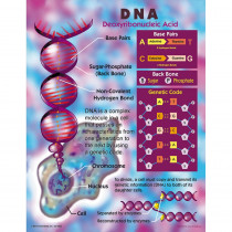 CD-5925 - Dna Chart in Science