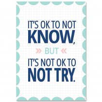 CTP8715 - It's Ok To Not Know� Calm & Cool Inspire U Poster in Inspirational