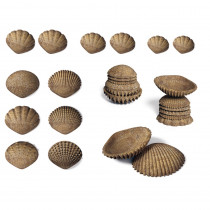 Tactile Shells, Set of 36 - CTU15205 | Learning Advantage | Sensory Development
