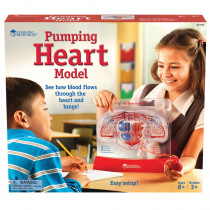 LER3535 - Pumping Heart Model in Human Anatomy
