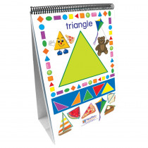 NP-330021 - Exploring Shapes 10 Double Sided Curriculum Mastery Flip Charts in Miscellaneous
