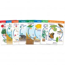 NP-941504 - Life Cycles Set Of 8 in Science