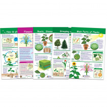 NP-943501 - All About Plants Set Of 5 in Science