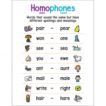 SC-823381 - Anchor Chart Homophones in Language Arts