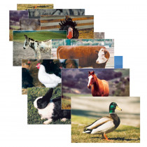 SLM152 - Farm Animal Poster Set Set Of 10 in Science