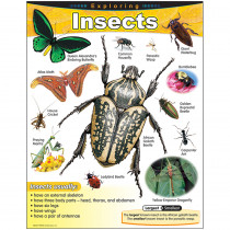 T-38184 - Chart Exploring Insects Gr 1-5 in Science