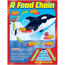 T-38186 - Chart A Food Chain Gr 2-5 in Science