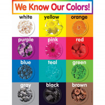 TF-2503 - Colors Chart Gr Pk-5 in Miscellaneous