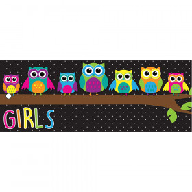 Laminated Hall Pass Owls Girls