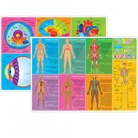 Smart Poly Learning Mats, 12" x 17", Double-Sided, Human Body Systems & Anatomy, Pack of 10