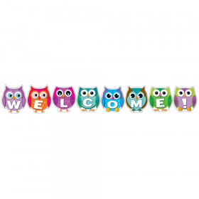 Colorful Owl Welcome Bulletin Board Set