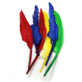 Quill Feathers, 10" & 12", 6ct