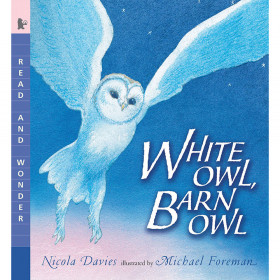 White Owl Barn Owl