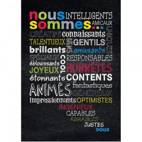 Nous Sommes French Inspire U Poster