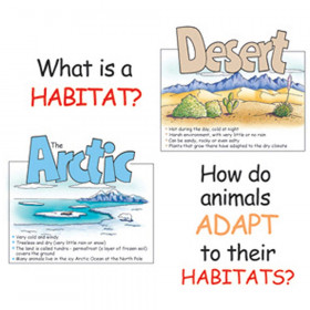 Bb Set Animal Habitats