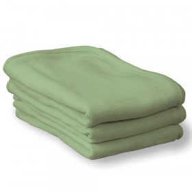 Foundations ThermaSoft Blanket, Mint