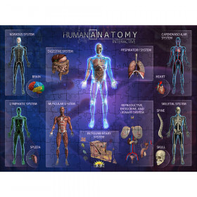 Human Anatomy Interact Smart Puzzle