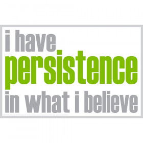 Notes - I have persistence in what I believe
