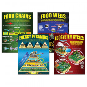 Ecosystems Teaching Posters, Set of 4