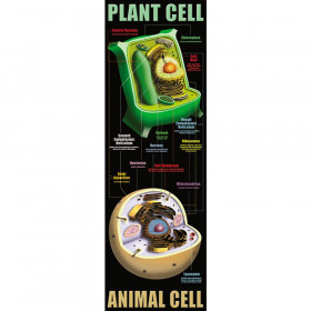 Plant & Animal Cells Colossal Concept Poster