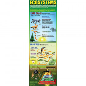 Ecosystems Colossal Poster